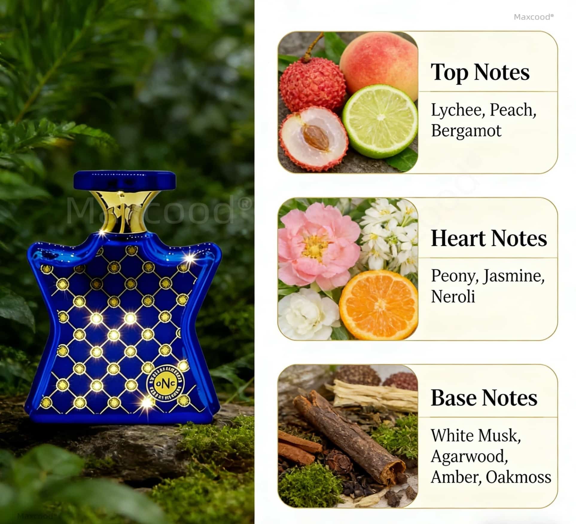 Citrus and Floral Perfume Long - Perfume High Fragrance 评论和价格