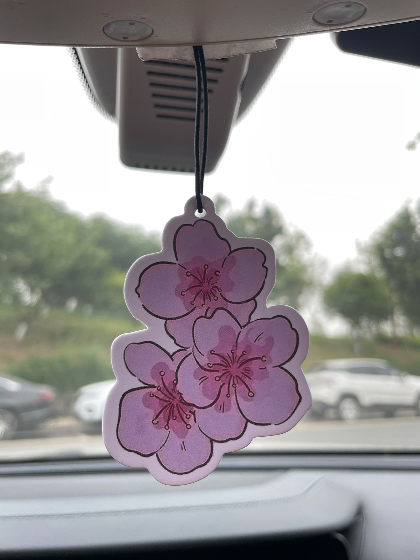 Sakura/Freesia Fresh Scent Fiv - Perfume Fragrance Type 评论和价格