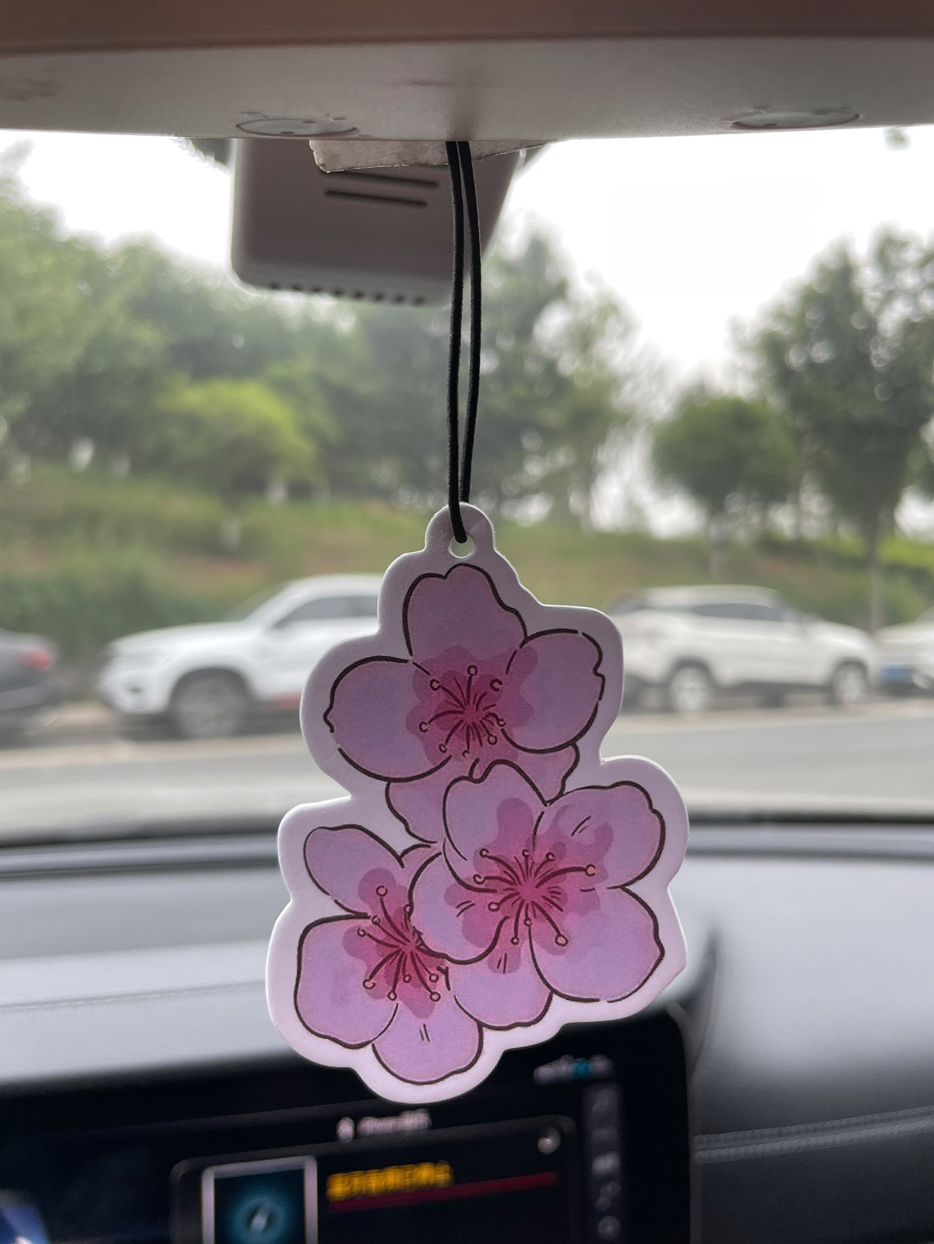 Sakura/Freesia Fresh Scent Fiv - Perfume Fragrance Type 评论和价格