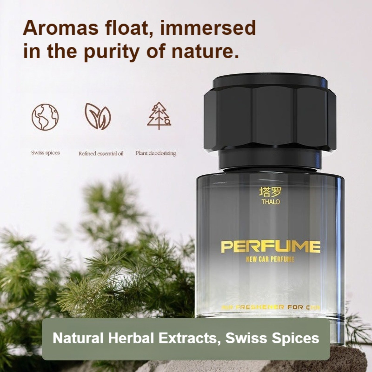 Men's Perfume: Long-Lasting, F - Perfume High Fragrance 评论和价格